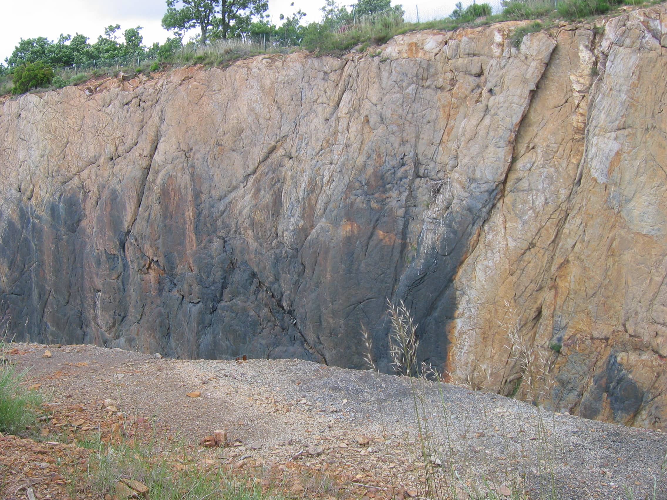 Bosque Fósil 2007: IMG 2016