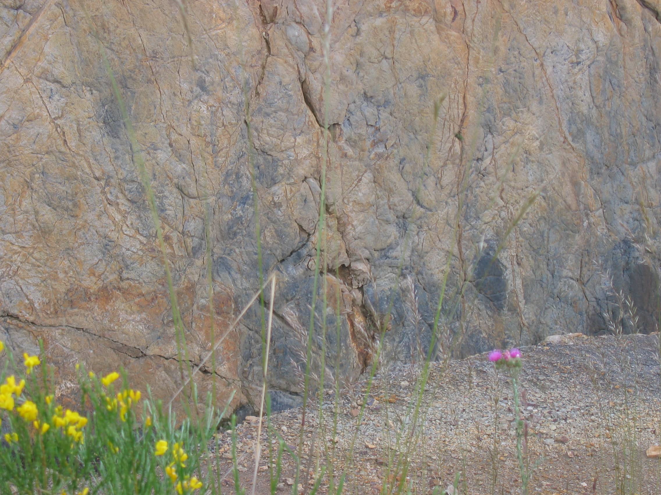 Bosque Fósil 2007: IMG 2018