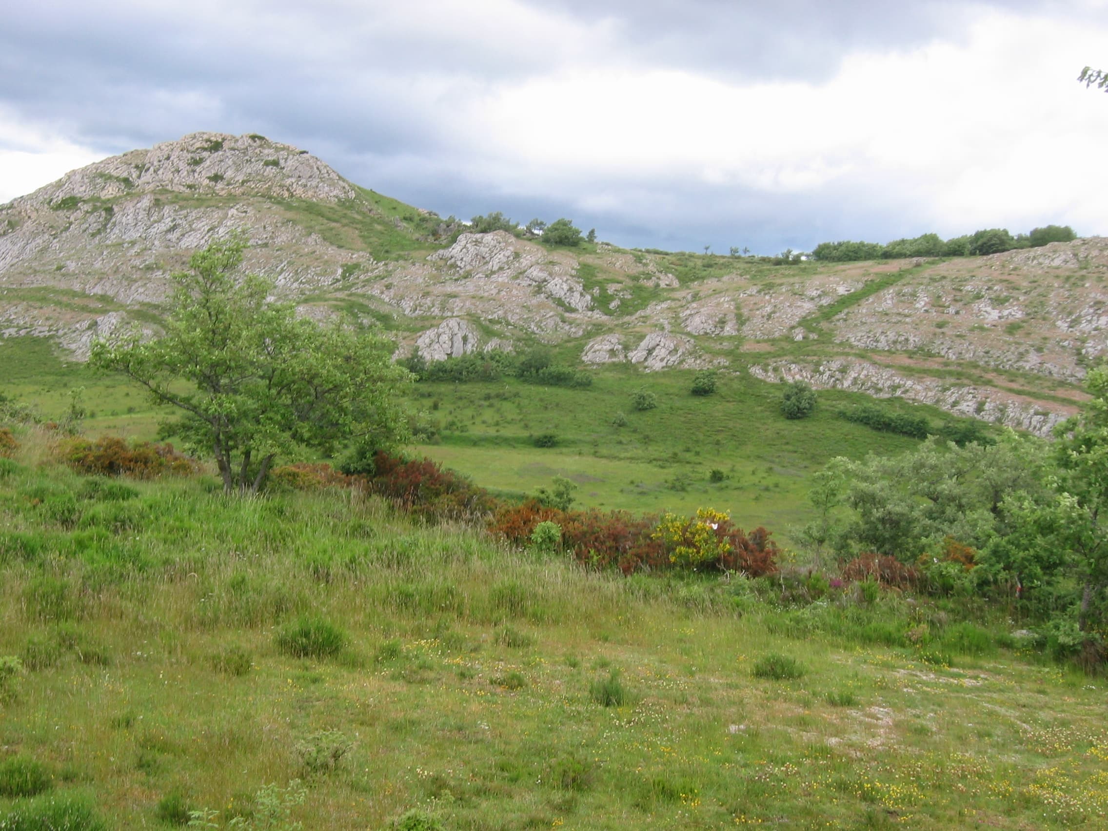 Entorno natural de Verdeña