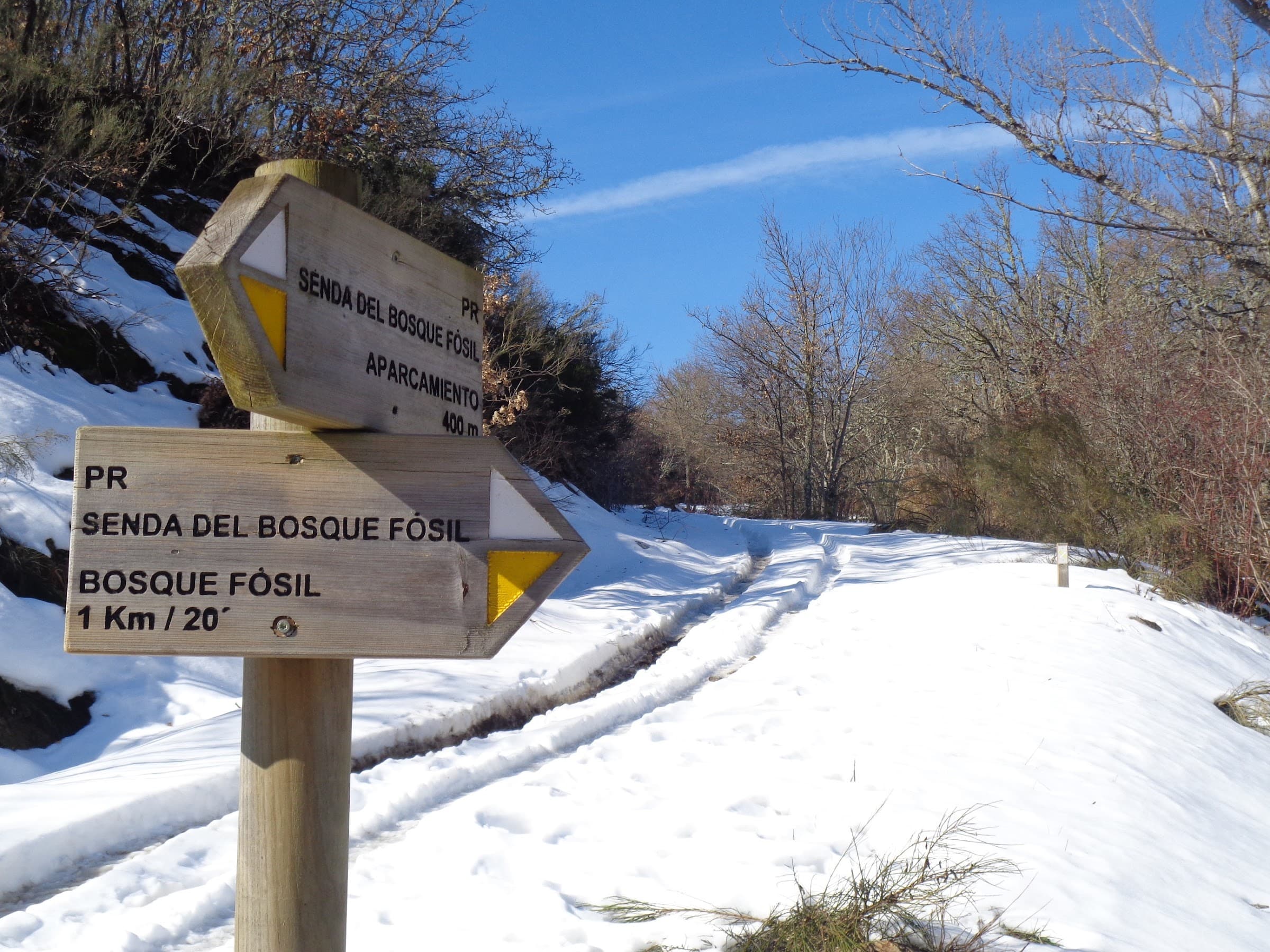 Tramo de la ruta del Bosque Fósil